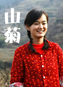 欧美一区二区三区免费看